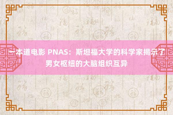 一本道电影 PNAS：斯坦福大学的科学家揭示了男女枢纽的大脑组织互异