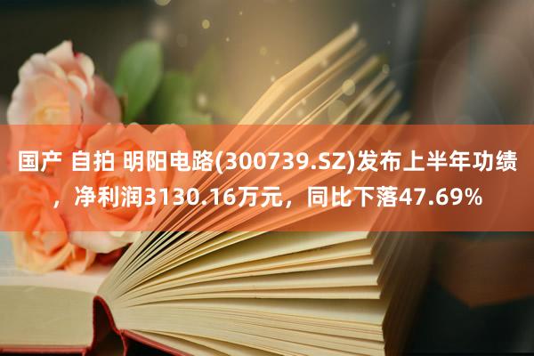 国产 自拍 明阳电路(300739.SZ)发布上半年功绩，净利润3130.16万元，同比下落47.69%