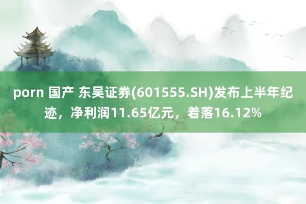 porn 国产 东吴证券(601555.SH)发布上半年纪迹，净利润11.65亿元，着落16.12%