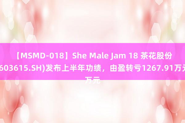 【MSMD-018】She Male Jam 18 茶花股份(603615.SH)发布上半年功绩，由盈转亏1267.91万元