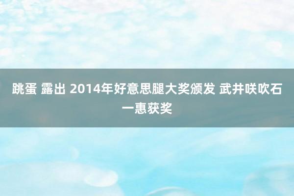 跳蛋 露出 2014年好意思腿大奖颁发 武井咲吹石一惠获奖