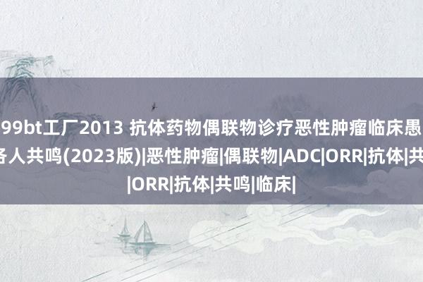 99bt工厂2013 抗体药物偶联物诊疗恶性肿瘤临床愚弄中国各人共鸣(2023版)|恶性肿瘤|偶联物|ADC|ORR|抗体|共鸣|临床|