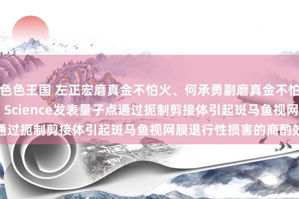 色色王国 左正宏磨真金不怕火、何承勇副磨真金不怕火团队在Advanced Science发表量子点通过扼制剪接体引起斑马鱼视网膜退行性损害的商酌效果