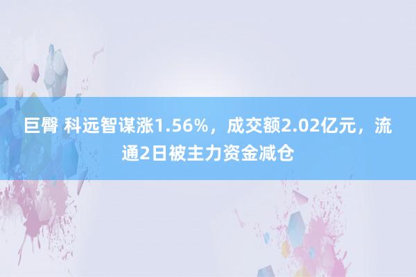 巨臀 科远智谋涨1.56%，成交额2.02亿元，流通2日被主力资金减仓