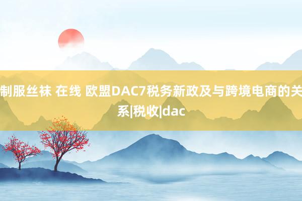 制服丝袜 在线 欧盟DAC7税务新政及与跨境电商的关系|税收|dac