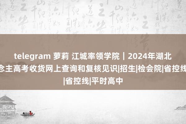 telegram 萝莉 江城率领学院｜2024年湖北省成东说念主高考收货网上查询和复核见识|招生|检会院|省控线|平时高中