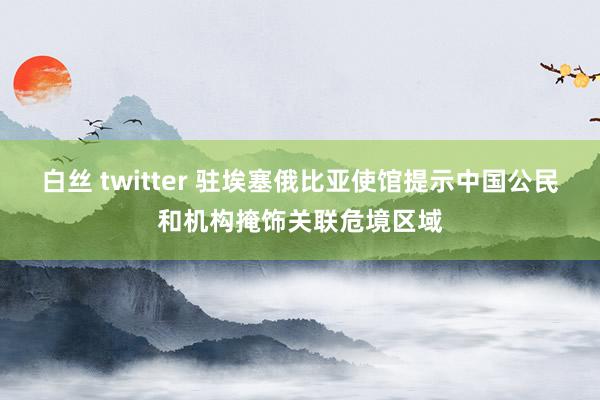 白丝 twitter 驻埃塞俄比亚使馆提示中国公民和机构掩饰关联危境区域