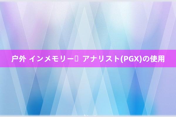 户外 インメモリー・アナリスト(PGX)の使用