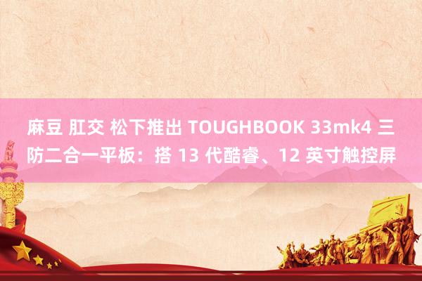 麻豆 肛交 松下推出 TOUGHBOOK 33mk4 三防二合一平板：搭 13 代酷睿、12 英寸触控屏