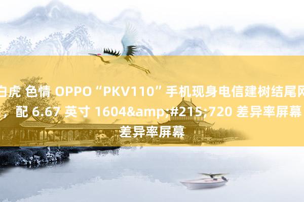 白虎 色情 OPPO“PKV110”手机现身电信建树结尾网，配 6.67 英寸 1604&#215;720 差异率屏幕